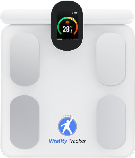 VT smart scale
